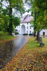 Allee und Klostermauer