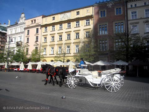 Kutsche Krakau Marktplatz