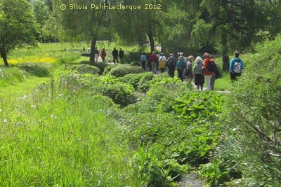 Bonndorf japanischer Park
