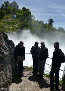 Rheinfall von Schaffhausen